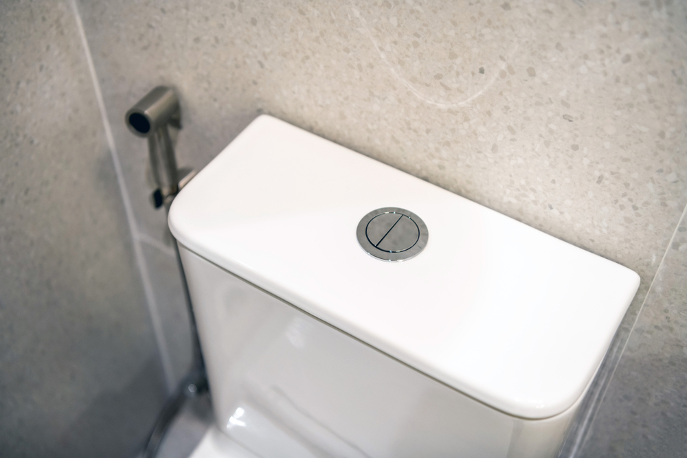 Toilet flush button close-up in the restroom