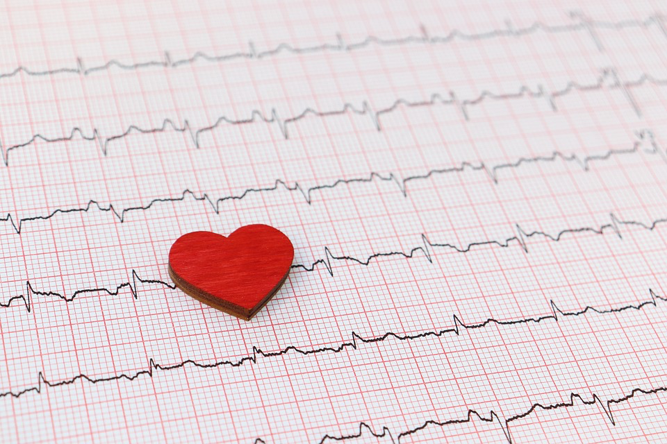 Red heart symbol on EKG printout representing successful prevention of attack on cardiovascular system.